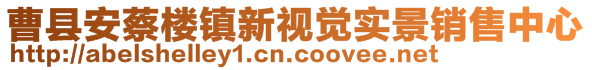 曹縣安蔡樓鎮(zhèn)新視覺實(shí)景銷售中心