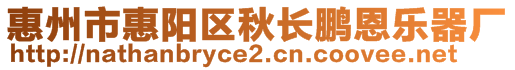 惠州市惠陽區秋長鵬恩樂器廠