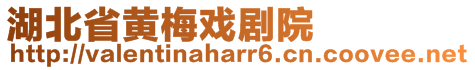 湖北省黃梅戲劇院