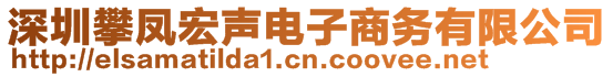 深圳攀鳳宏聲電子商務(wù)有限公司