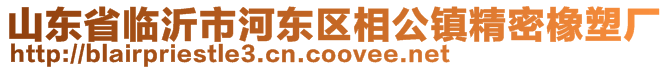 山東省臨沂市河東區(qū)相公鎮(zhèn)精密橡塑廠