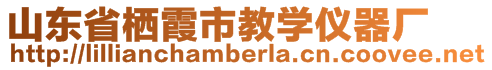 山東省棲霞市教學(xué)儀器廠