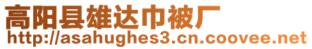 高陽縣雄達(dá)巾被廠