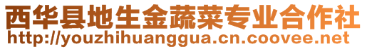 西華縣地生金蔬菜專業合作社