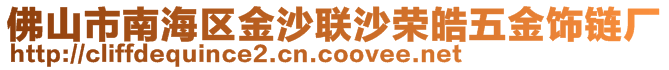 佛山市南海區(qū)金沙聯(lián)沙榮皓五金飾鏈廠