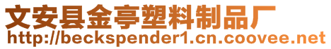 文安縣金亭塑料制品廠