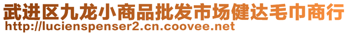 武進區九龍小商品批發市場健達毛巾商行