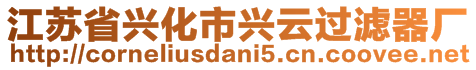 江蘇省興化市興云過濾器廠