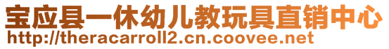 寶應縣一休幼兒教玩具直銷中心