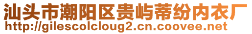 汕头市潮阳区贵屿蒂纷内衣厂