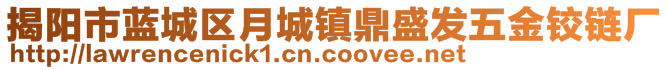 揭阳市蓝城区月城镇鼎盛发五金铰链厂