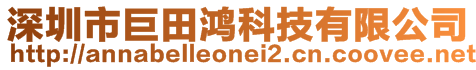 深圳市巨田鴻科技有限公司