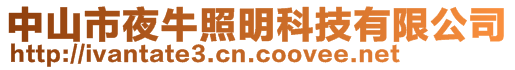 中山市夜牛照明科技有限公司