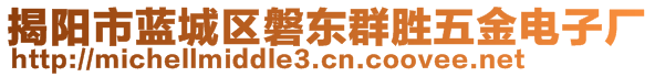 揭陽市藍(lán)城區(qū)磐東群勝五金電子廠