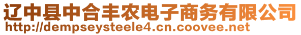 遼中縣中合豐農(nóng)電子商務有限公司