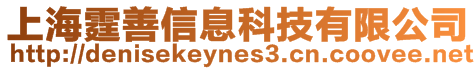 上海霆善信息科技有限公司
