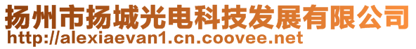 揚州市揚城光電科技發(fā)展有限公司