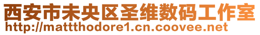 西安市未央?yún)^(qū)圣維數(shù)碼工作室