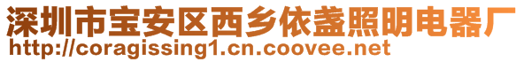 深圳市宝安区西乡依盏照明电器厂