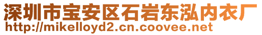 深圳市宝安区石岩东泓内衣厂