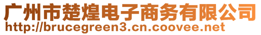 廣州市楚煌電子商務(wù)有限公司