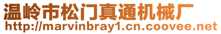 溫嶺市松門真通機械廠