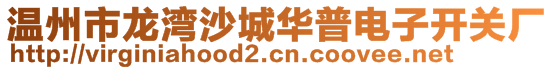 溫州市龍灣沙城華普電子開關廠