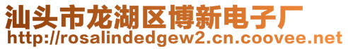 汕頭市龍湖區博新電子廠