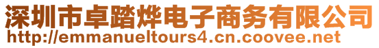 深圳市卓踏燁電子商務有限公司