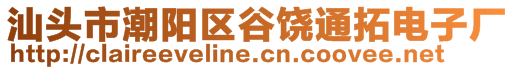 汕頭市潮陽區谷饒通拓電子廠