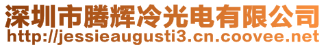 深圳市騰輝冷光電有限公司