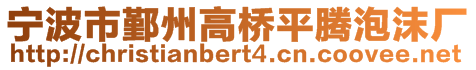 寧波市鄞州高橋平騰泡沫廠