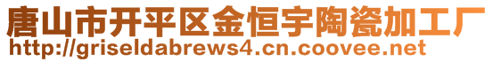 唐山市開(kāi)平區(qū)金恒宇陶瓷加工廠