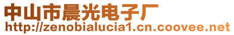 中山市晨光電子廠