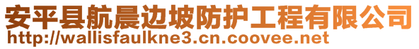 安平縣航晨邊坡防護工程有限公司