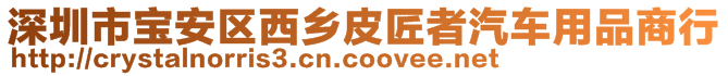 深圳市寶安區(qū)西鄉(xiāng)皮匠者汽車用品商行