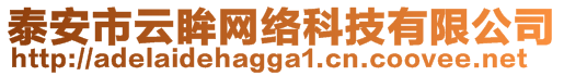 泰安市云眸網(wǎng)絡科技有限公司