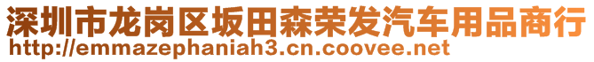 深圳市龍崗區(qū)坂田森榮發(fā)汽車用品商行