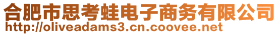 合肥市思考蛙电子商务有限公司