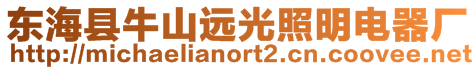 東海縣牛山遠光照明電器廠