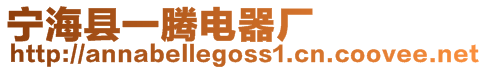 寧海縣一騰電器廠(chǎng)