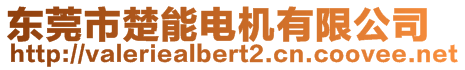 東莞市楚能電機(jī)有限公司