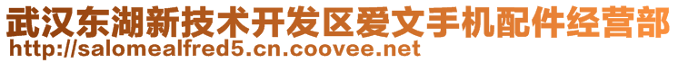 武漢東湖新技術(shù)開發(fā)區(qū)愛文手機(jī)配件經(jīng)營部