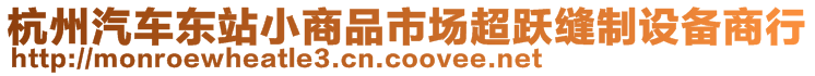 杭州汽車東站小商品市場超躍縫制設(shè)備商行