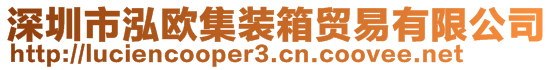 深圳市泓欧集装箱贸易有限公司