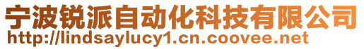 寧波銳派自動(dòng)化科技有限公司