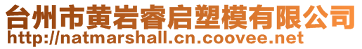 臺(tái)州市黃巖睿啟塑模有限公司