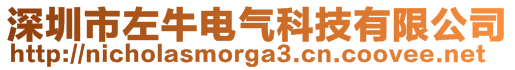 深圳市左牛电气科技有限公司