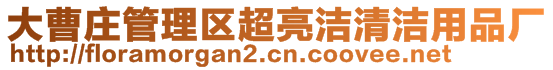 大曹莊管理區(qū)超亮潔清潔用品廠