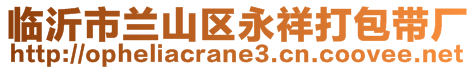 臨沂市蘭山區(qū)永祥打包帶廠